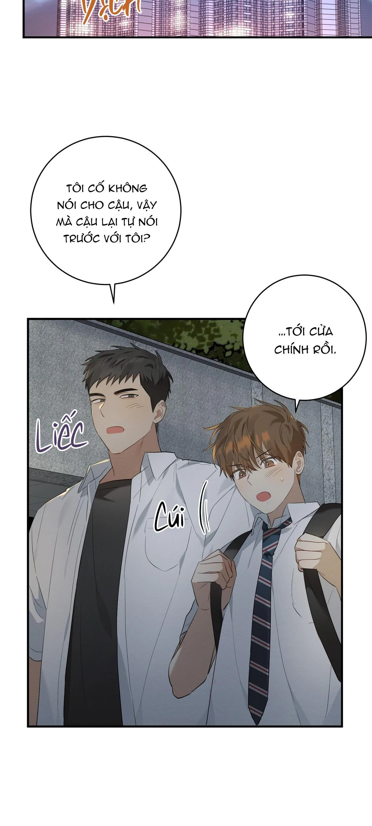 Tình Yêu Mận Ngọt: Chapter 5