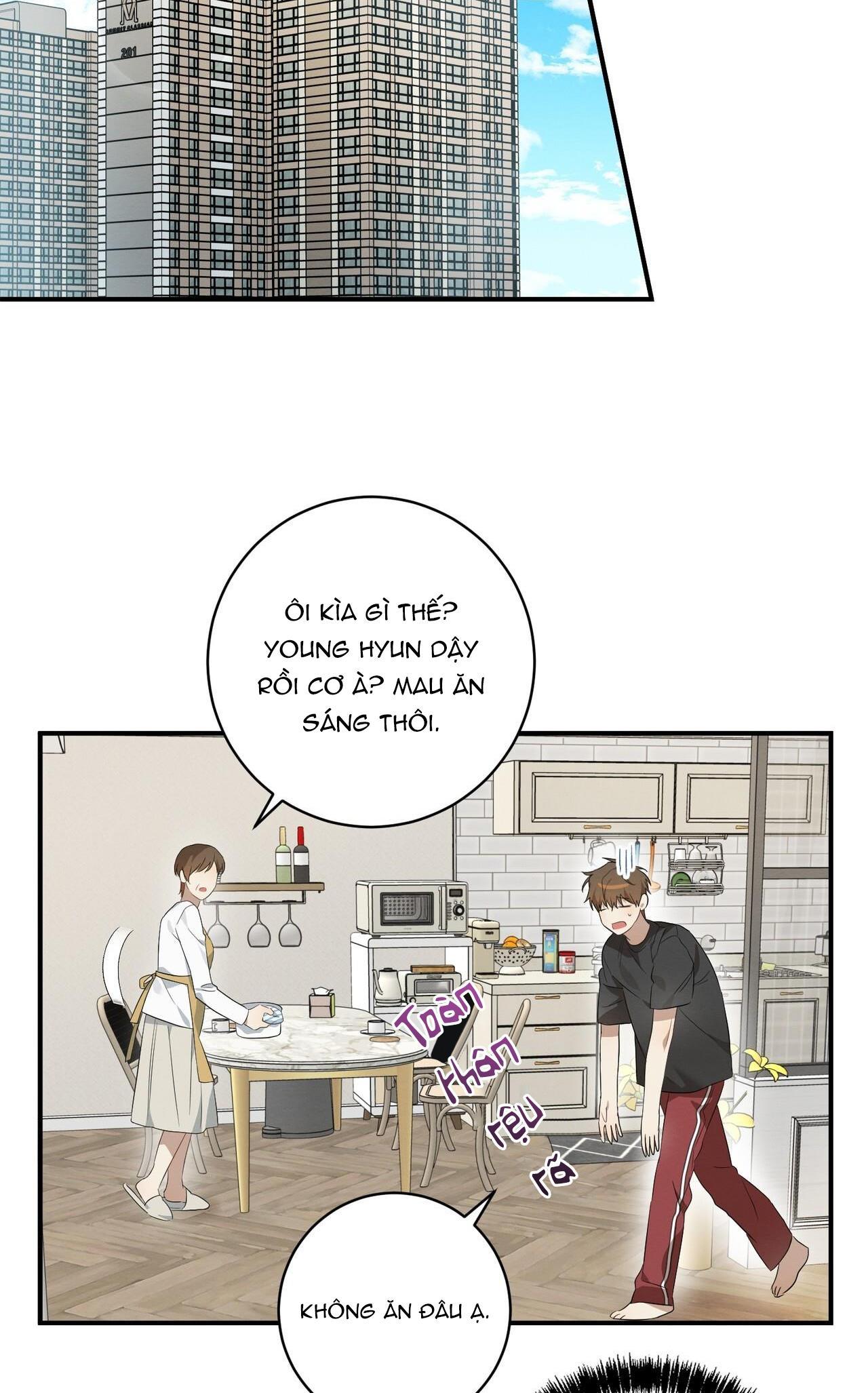 Tình Yêu Mận Ngọt: Chapter 5