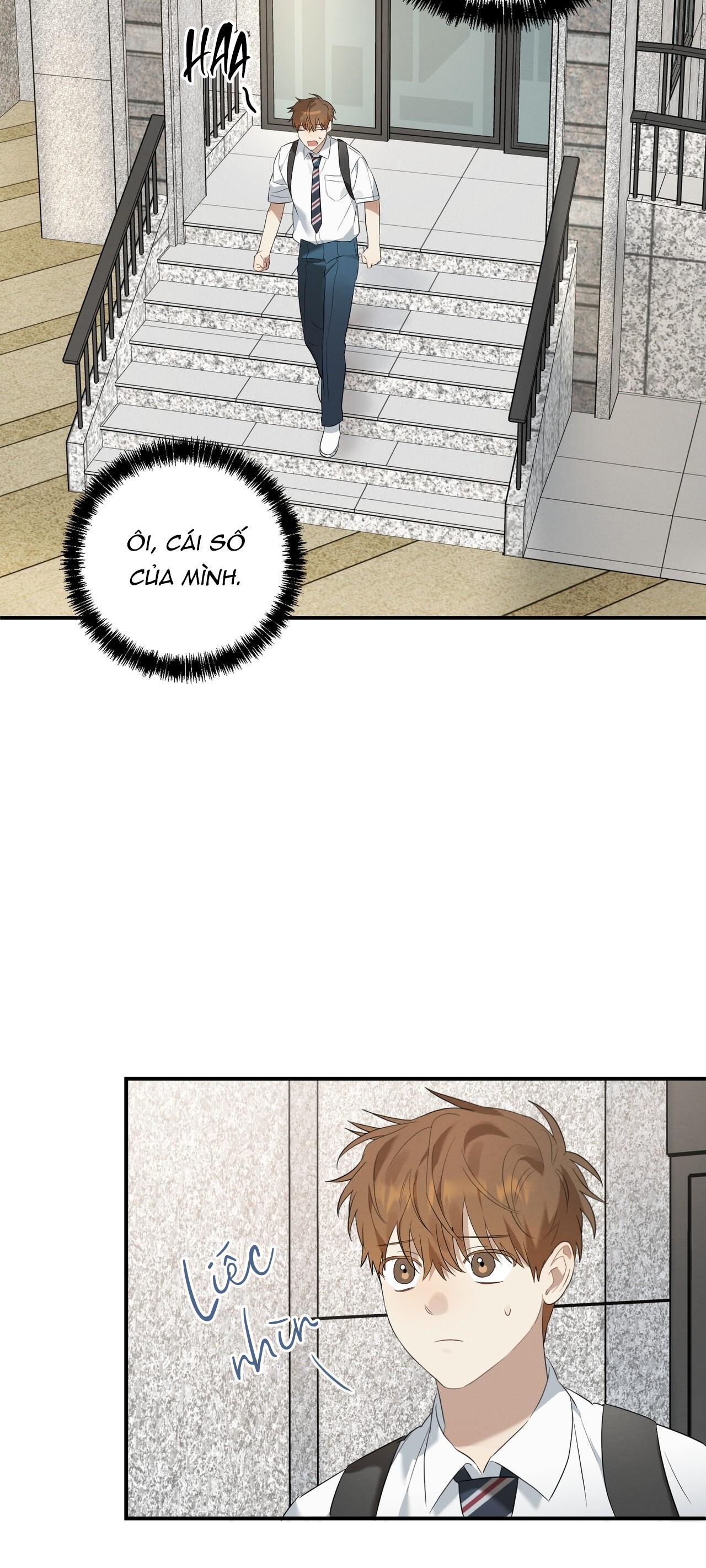 Tình Yêu Mận Ngọt: Chapter 5