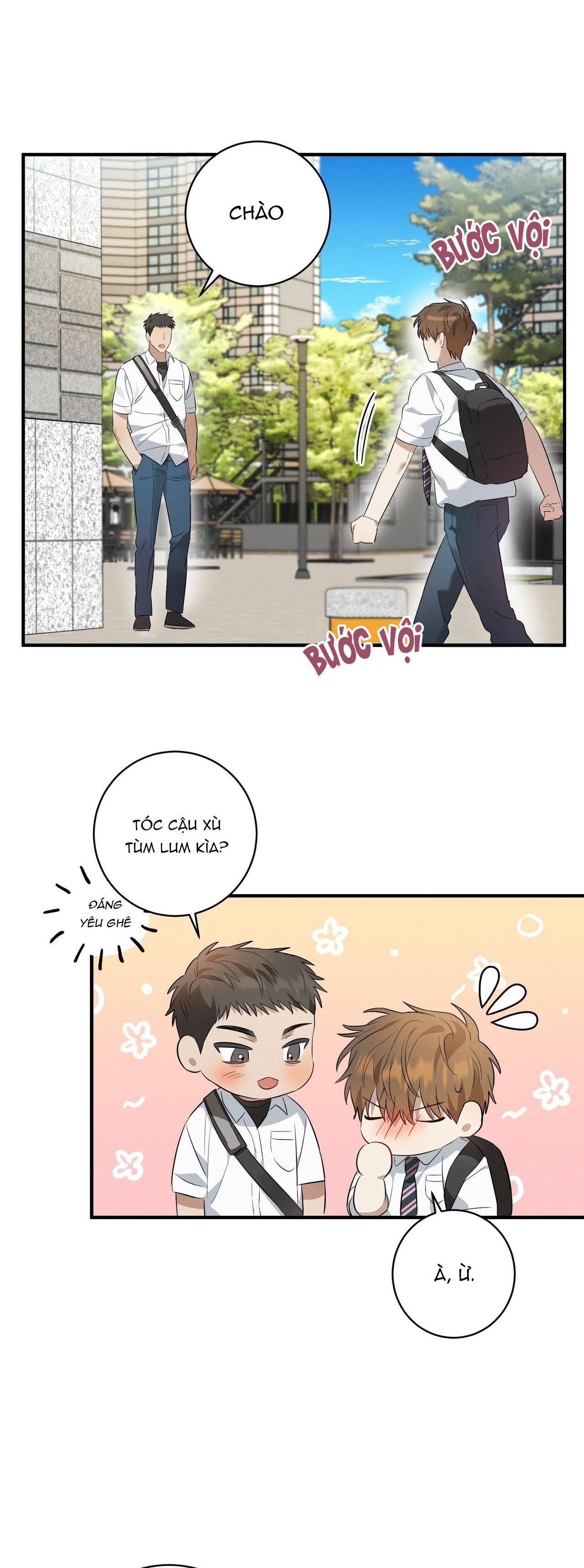 Tình Yêu Mận Ngọt: Chapter 5