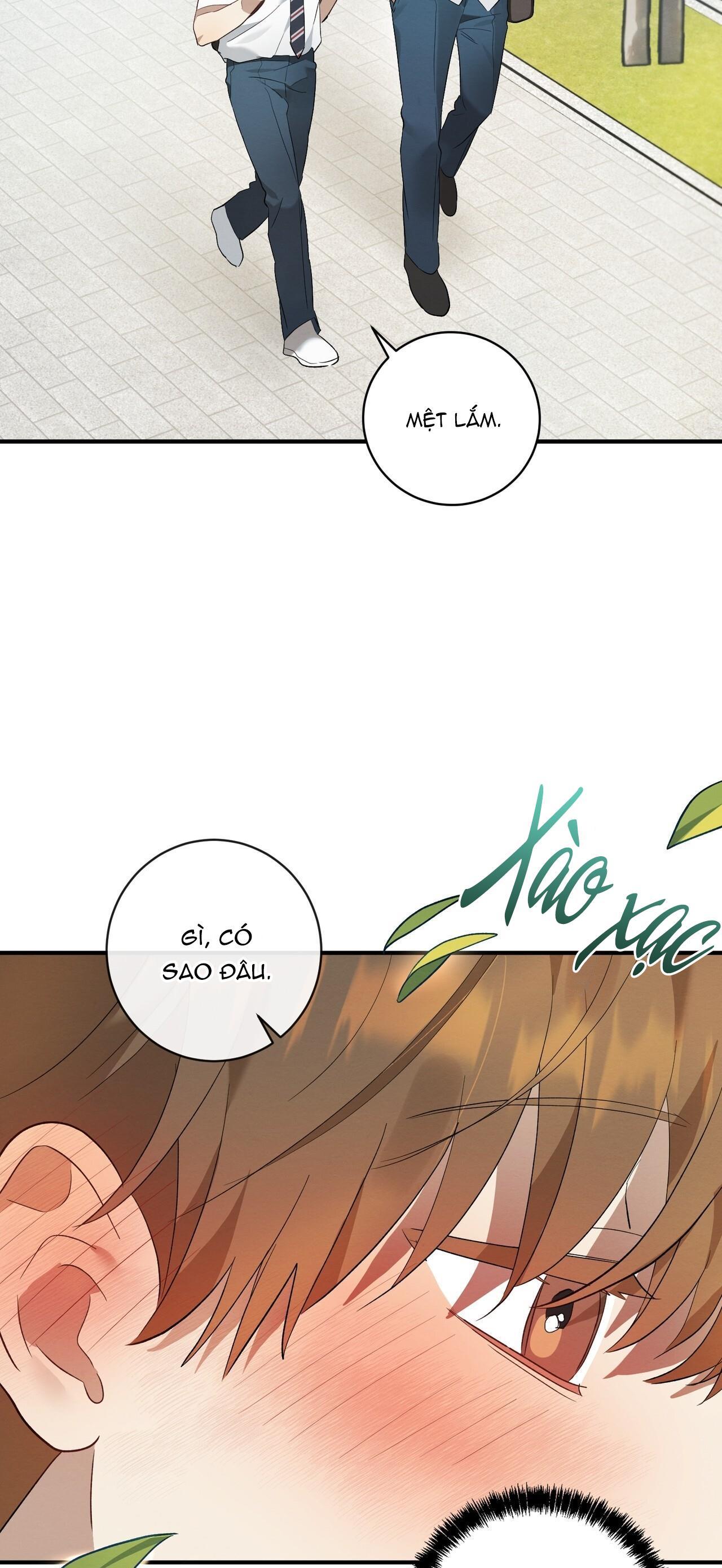 Tình Yêu Mận Ngọt: Chapter 5