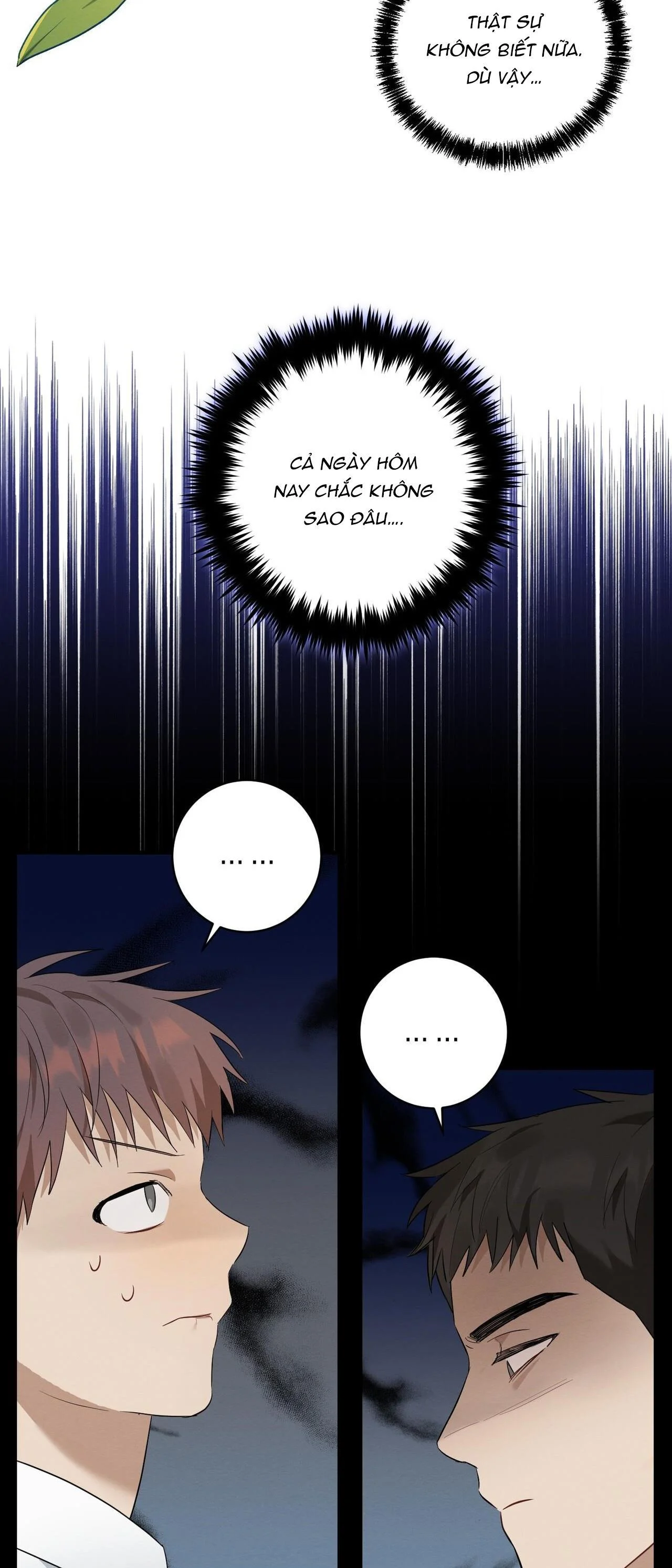 Tình Yêu Mận Ngọt: Chapter 5