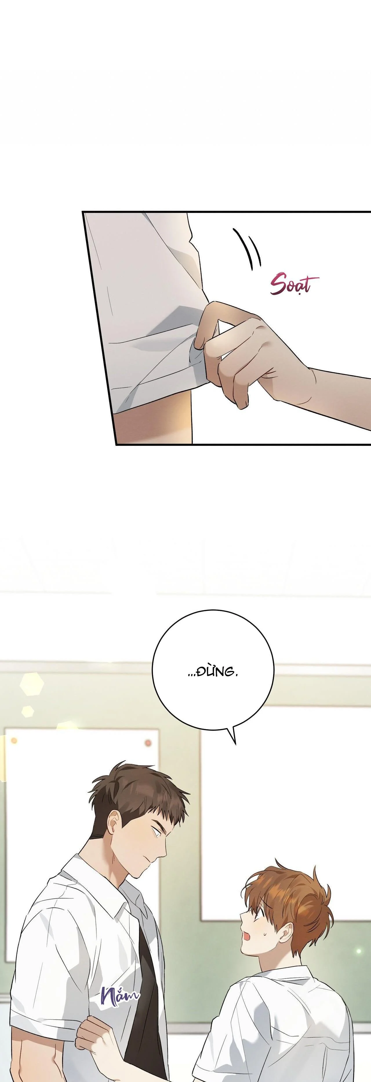 Tình Yêu Mận Ngọt: Chapter 6