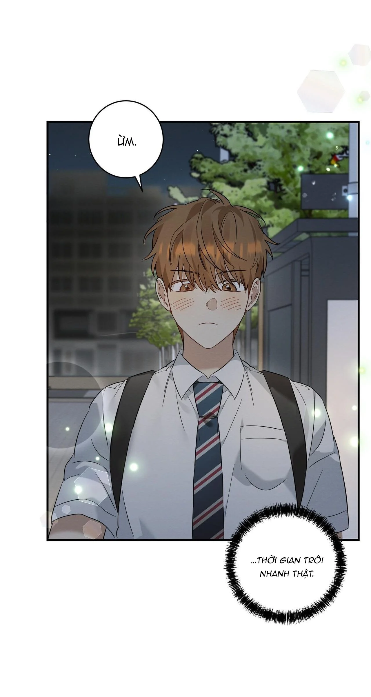 Tình Yêu Mận Ngọt: Chapter 7