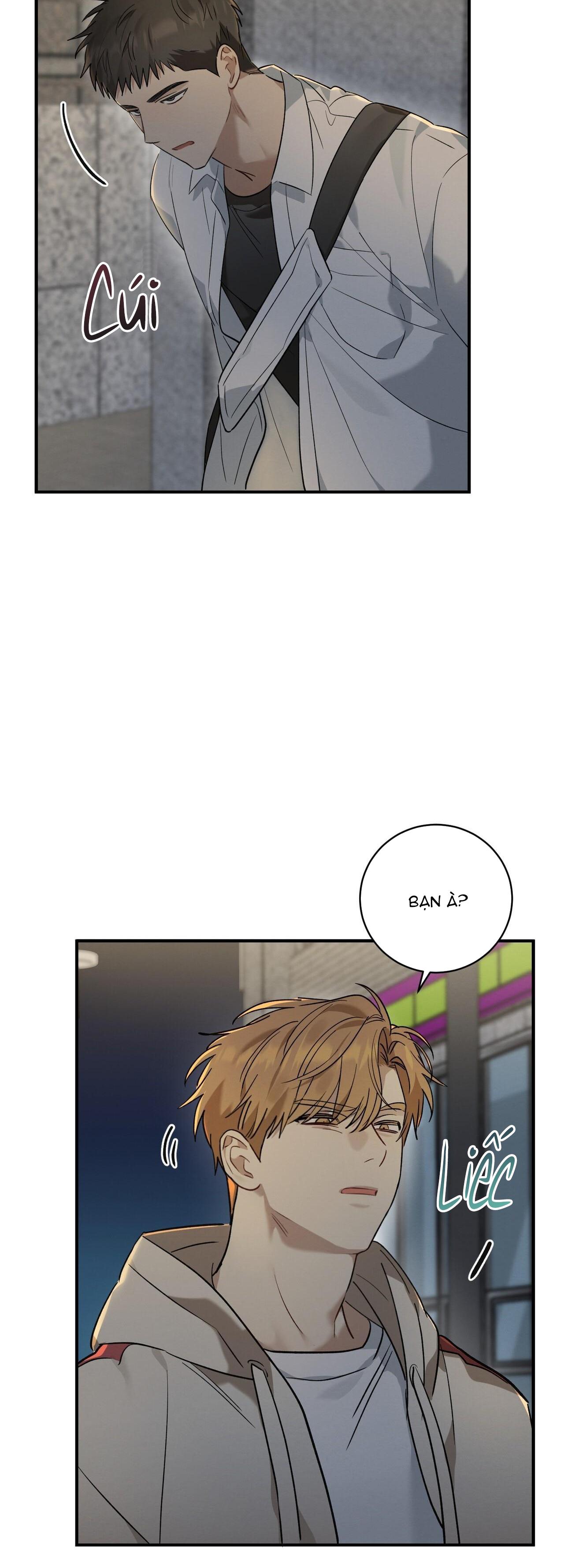 Tình Yêu Mận Ngọt: Chapter 8