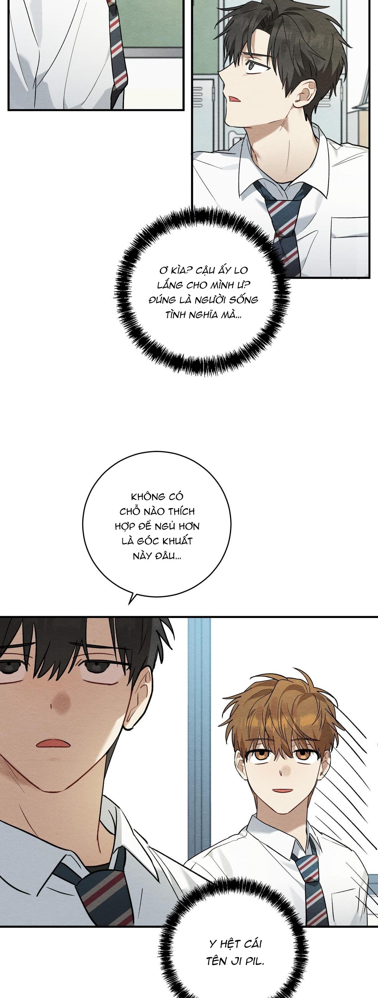 Tình Yêu Mận Ngọt: Chapter 8