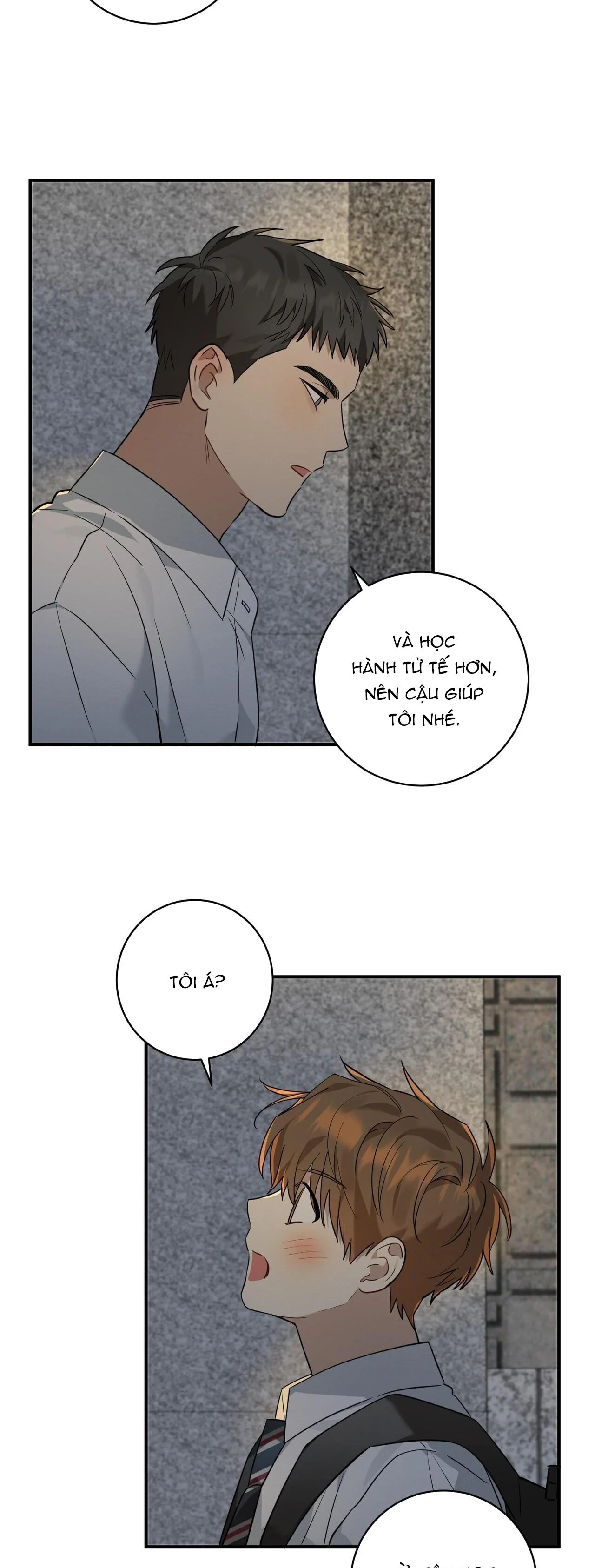 Tình Yêu Mận Ngọt: Chapter 8