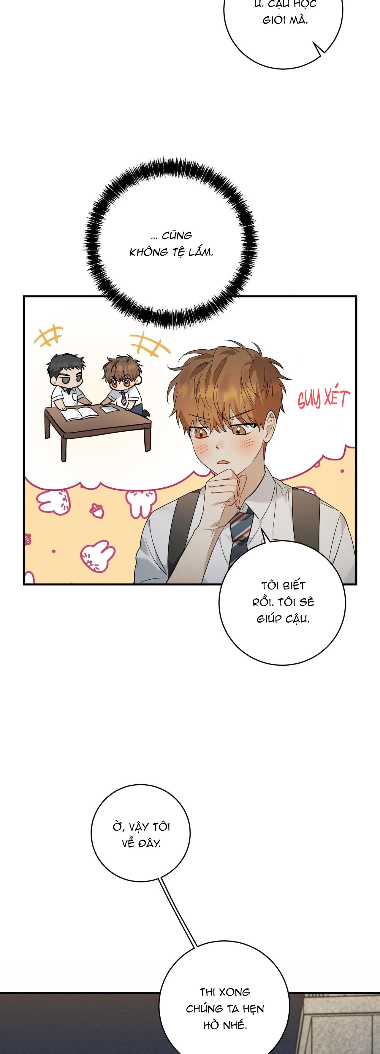 Tình Yêu Mận Ngọt: Chapter 8
