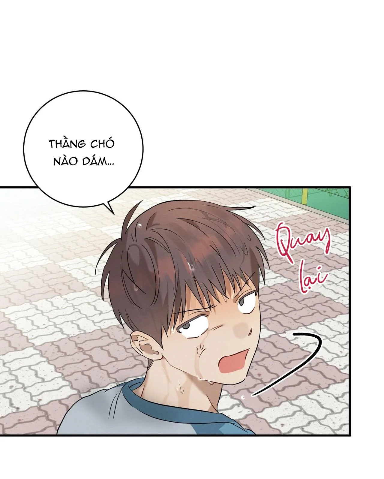 Tình Yêu Mận Ngọt: Chapter 9