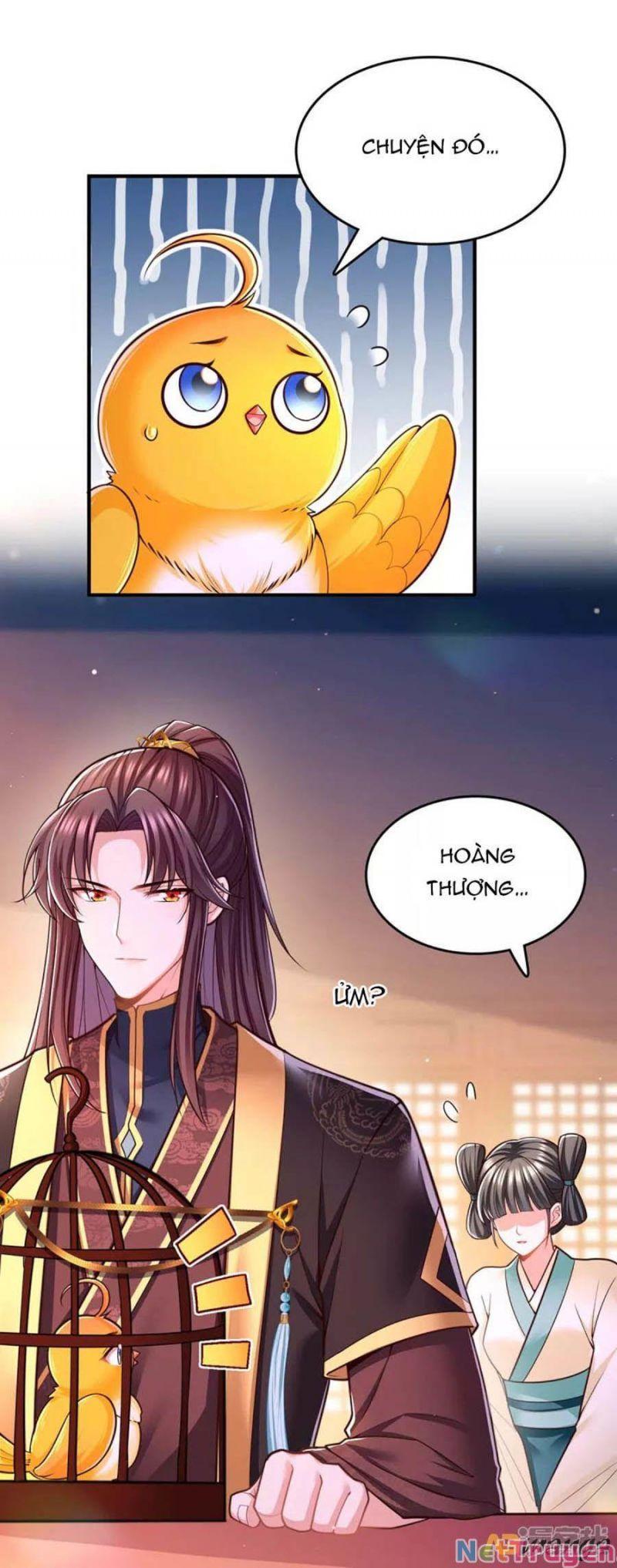 Ta Ở Hậu Cung Làm Lão Đại: Chapter 101