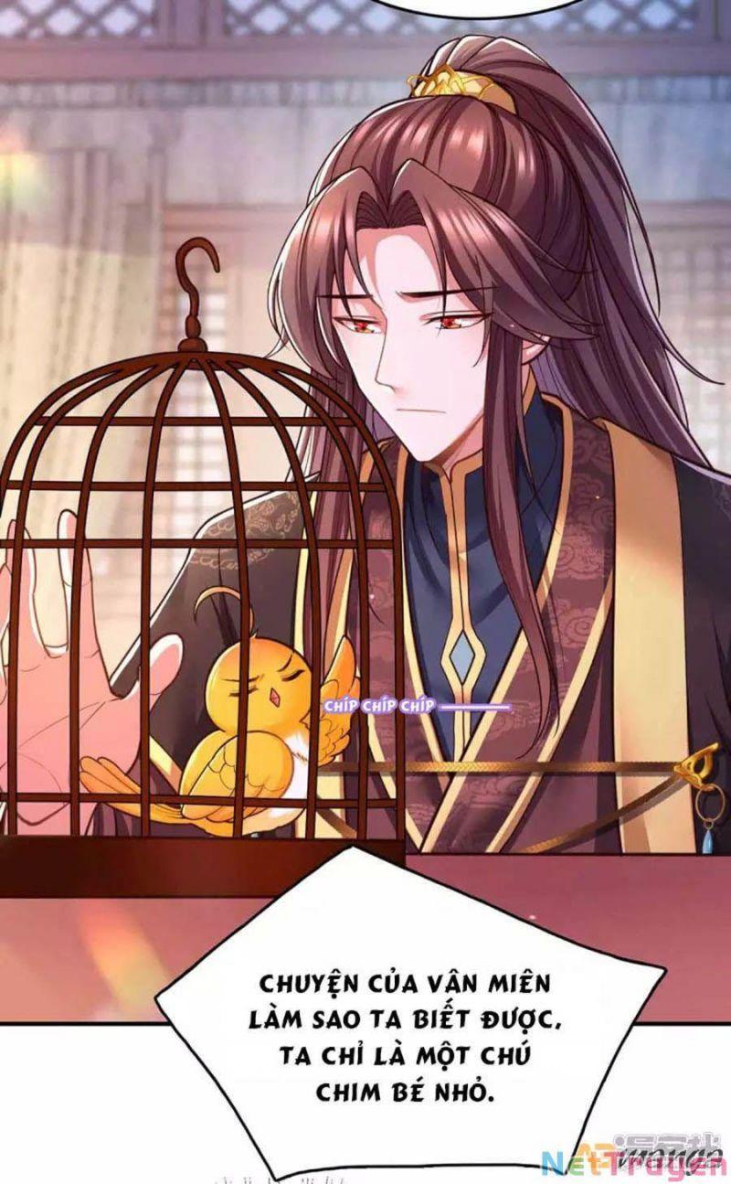 Ta Ở Hậu Cung Làm Lão Đại: Chapter 101