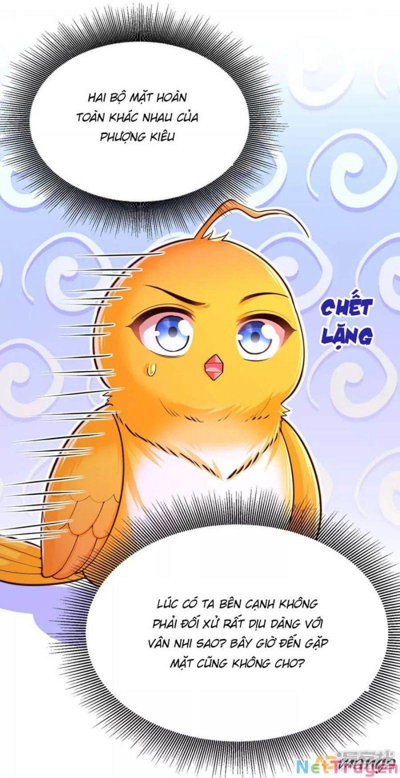 Ta Ở Hậu Cung Làm Lão Đại: Chapter 101