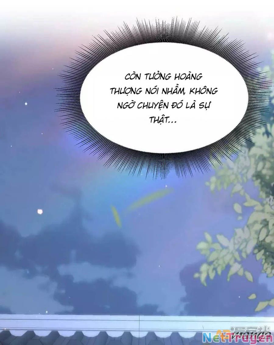 Ta Ở Hậu Cung Làm Lão Đại: Chapter 102