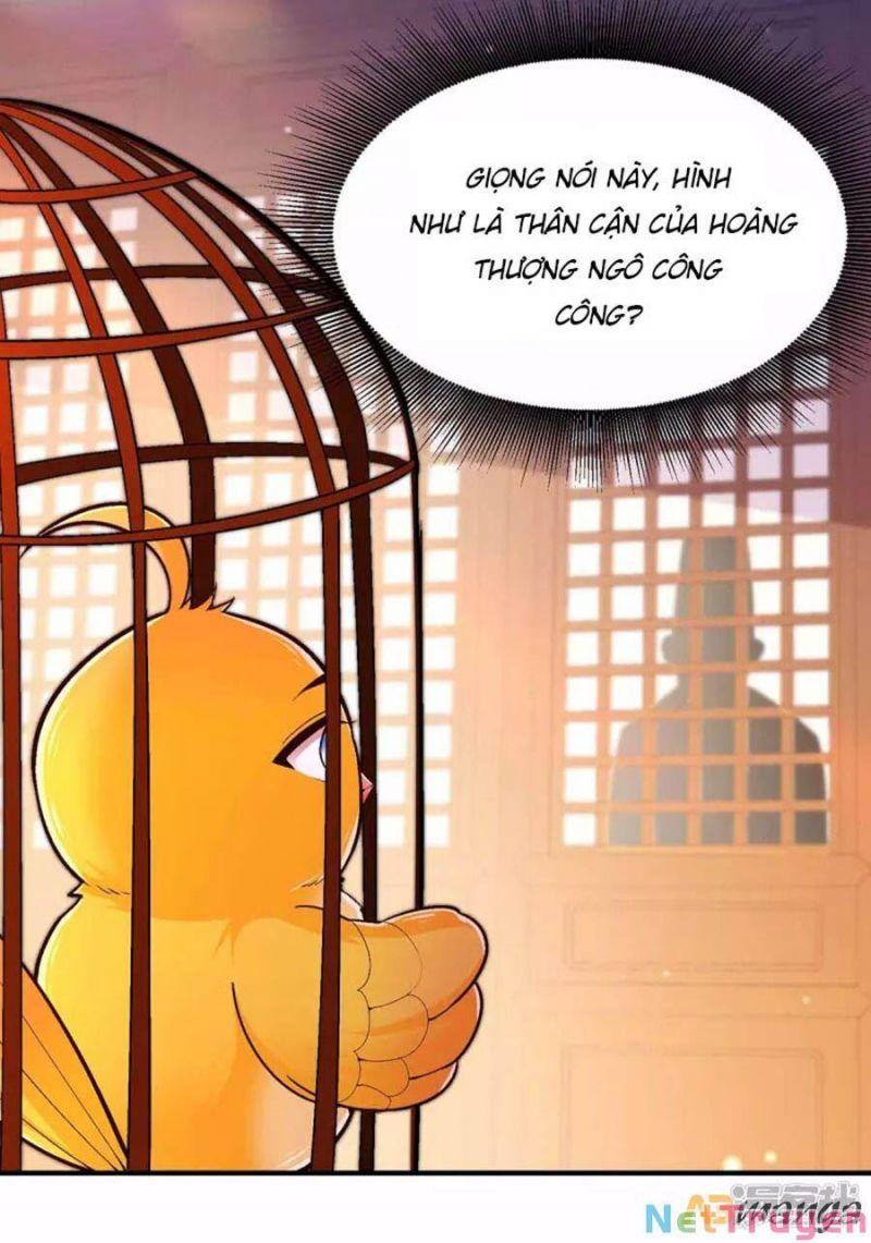 Ta Ở Hậu Cung Làm Lão Đại: Chapter 103