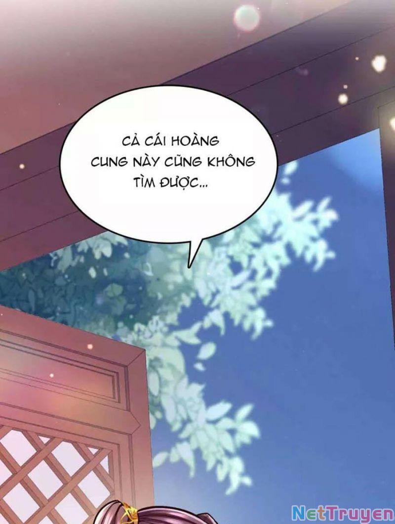 Ta Ở Hậu Cung Làm Lão Đại: Chapter 103