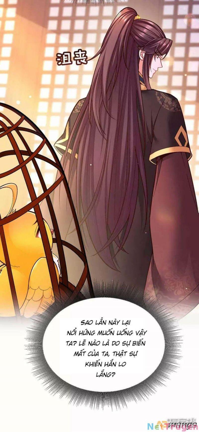 Ta Ở Hậu Cung Làm Lão Đại: Chapter 103