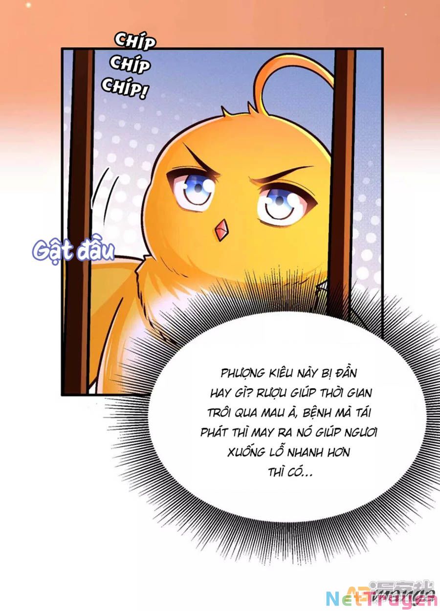 Ta Ở Hậu Cung Làm Lão Đại: Chapter 104