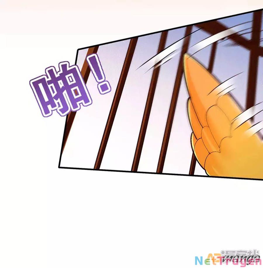 Ta Ở Hậu Cung Làm Lão Đại: Chapter 104