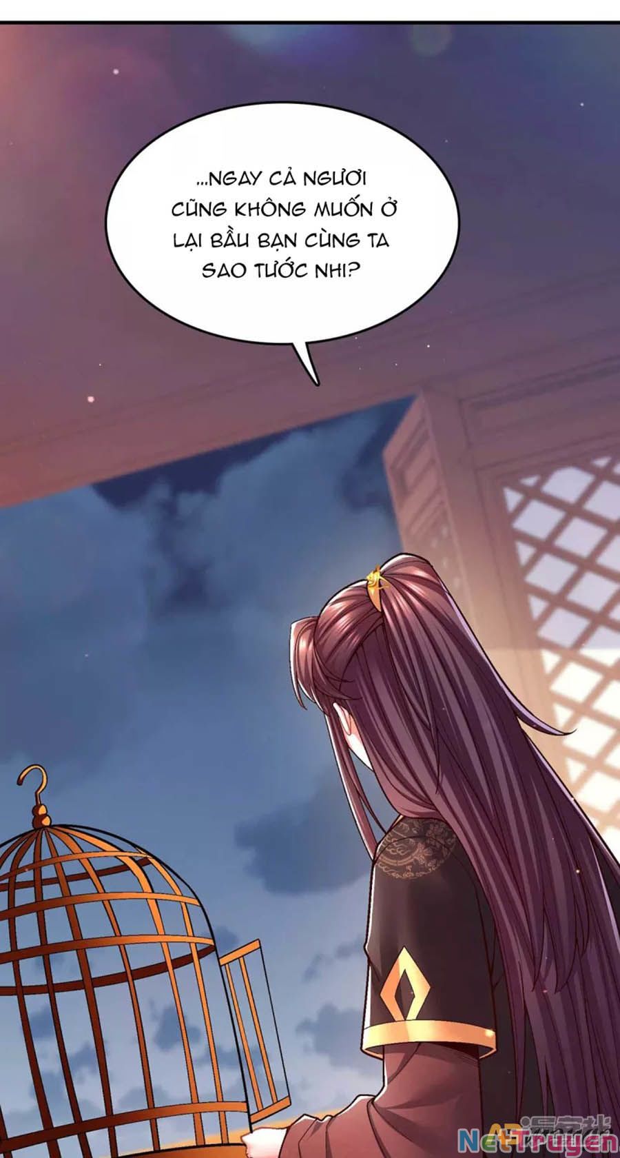 Ta Ở Hậu Cung Làm Lão Đại: Chapter 104