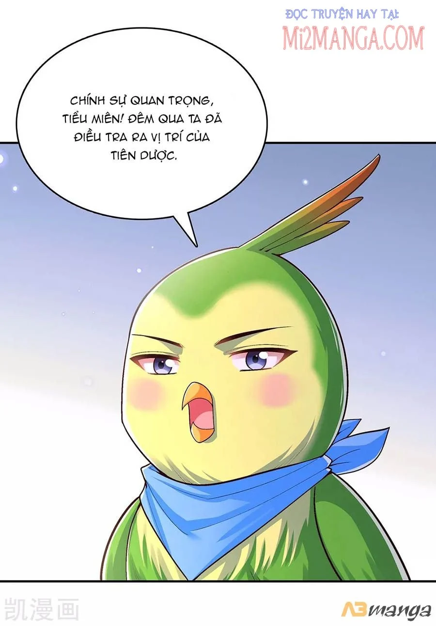 Ta Ở Hậu Cung Làm Lão Đại: Chapter 114