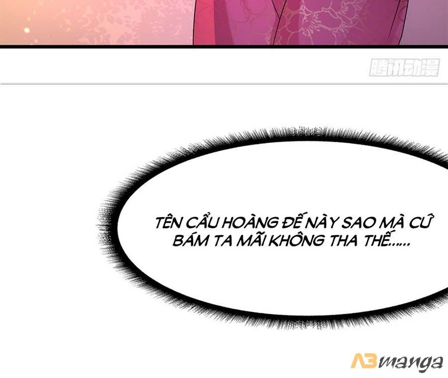 Ta Ở Hậu Cung Làm Lão Đại: Chapter 16