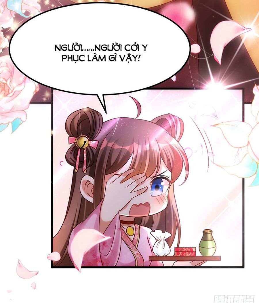 Ta Ở Hậu Cung Làm Lão Đại: Chapter 17