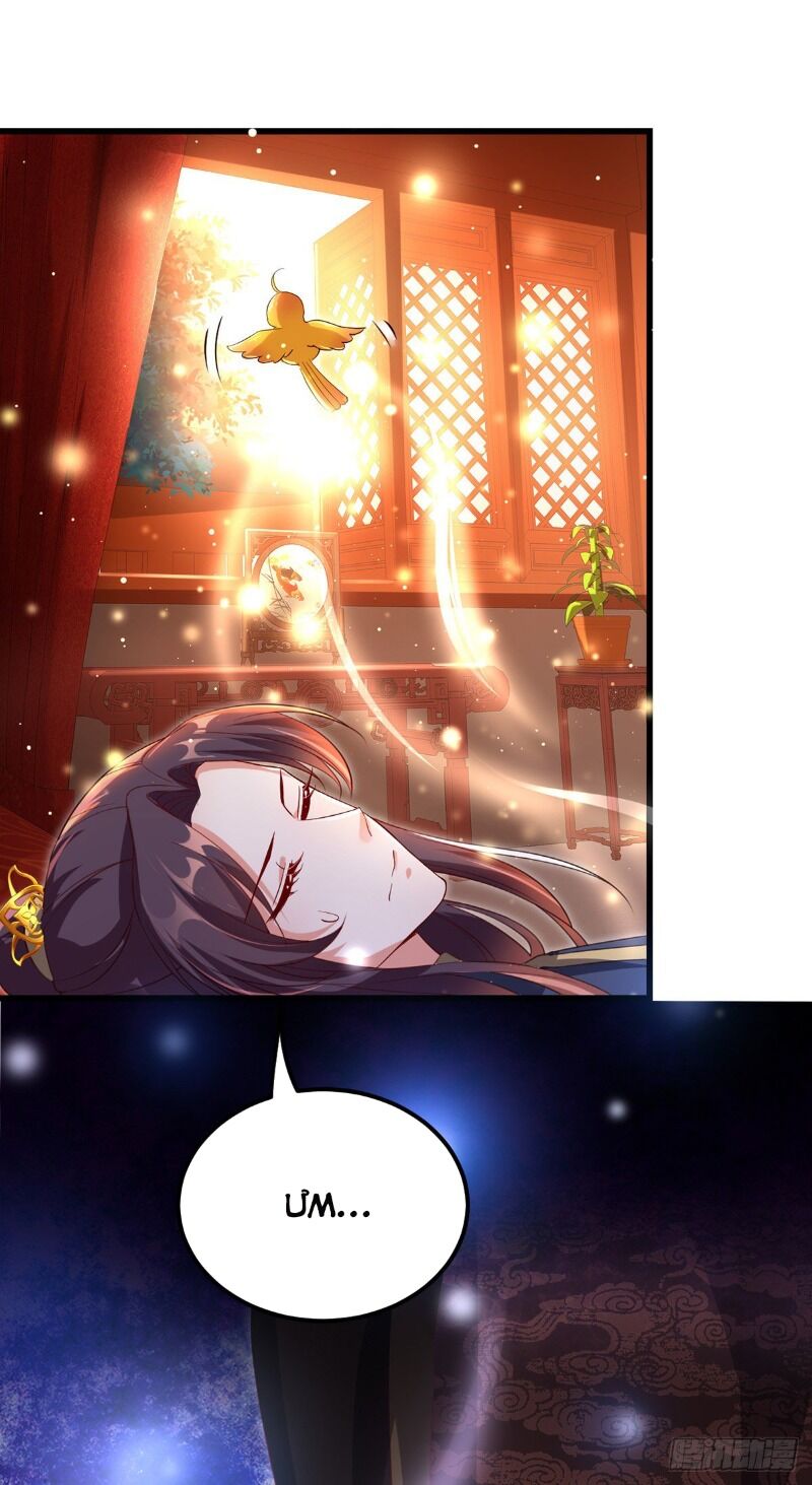Ta Ở Hậu Cung Làm Lão Đại: Chapter 22
