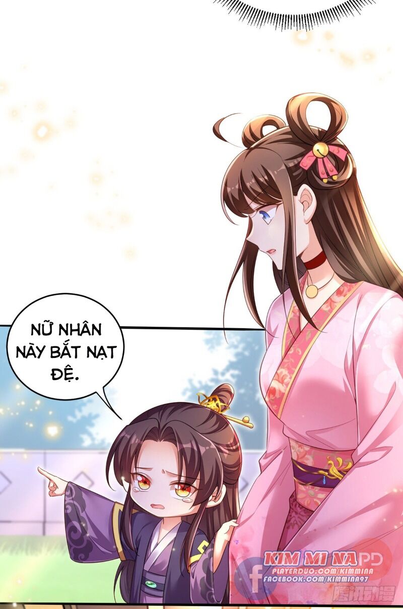 Ta Ở Hậu Cung Làm Lão Đại: Chapter 23