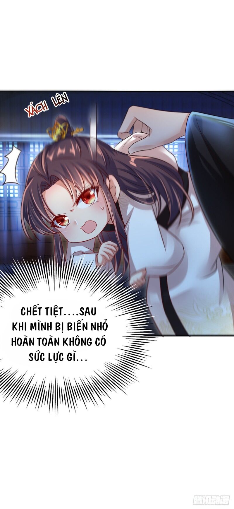 Ta Ở Hậu Cung Làm Lão Đại: Chapter 29