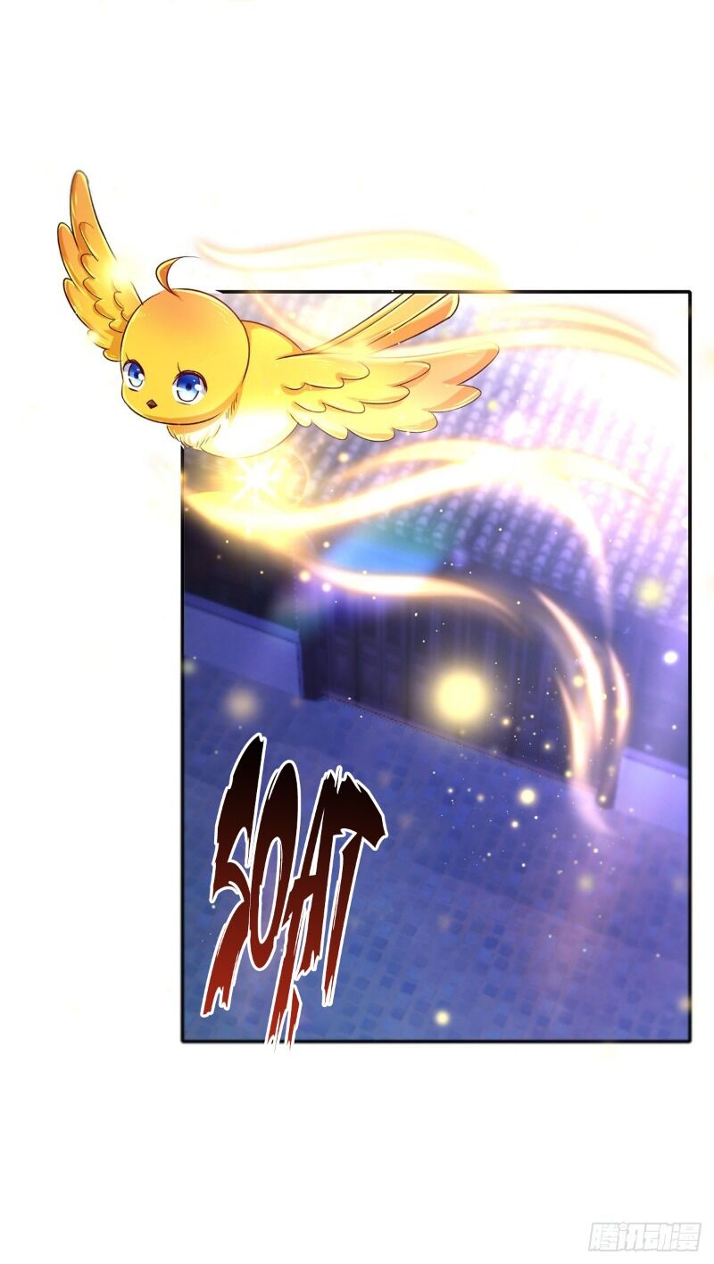 Ta Ở Hậu Cung Làm Lão Đại: Chapter 29