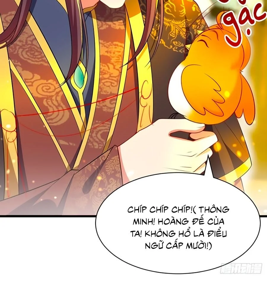 Ta Ở Hậu Cung Làm Lão Đại: Chapter 3