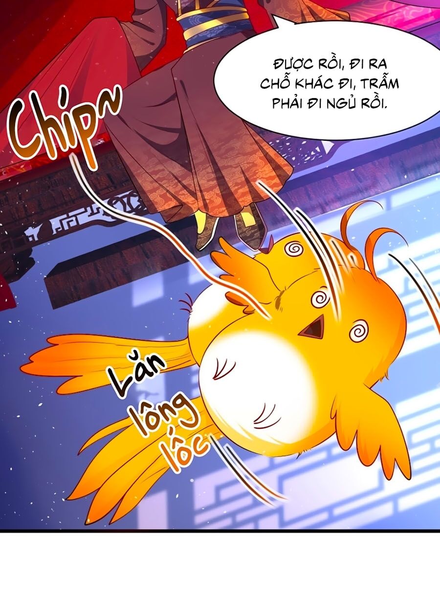Ta Ở Hậu Cung Làm Lão Đại: Chapter 3