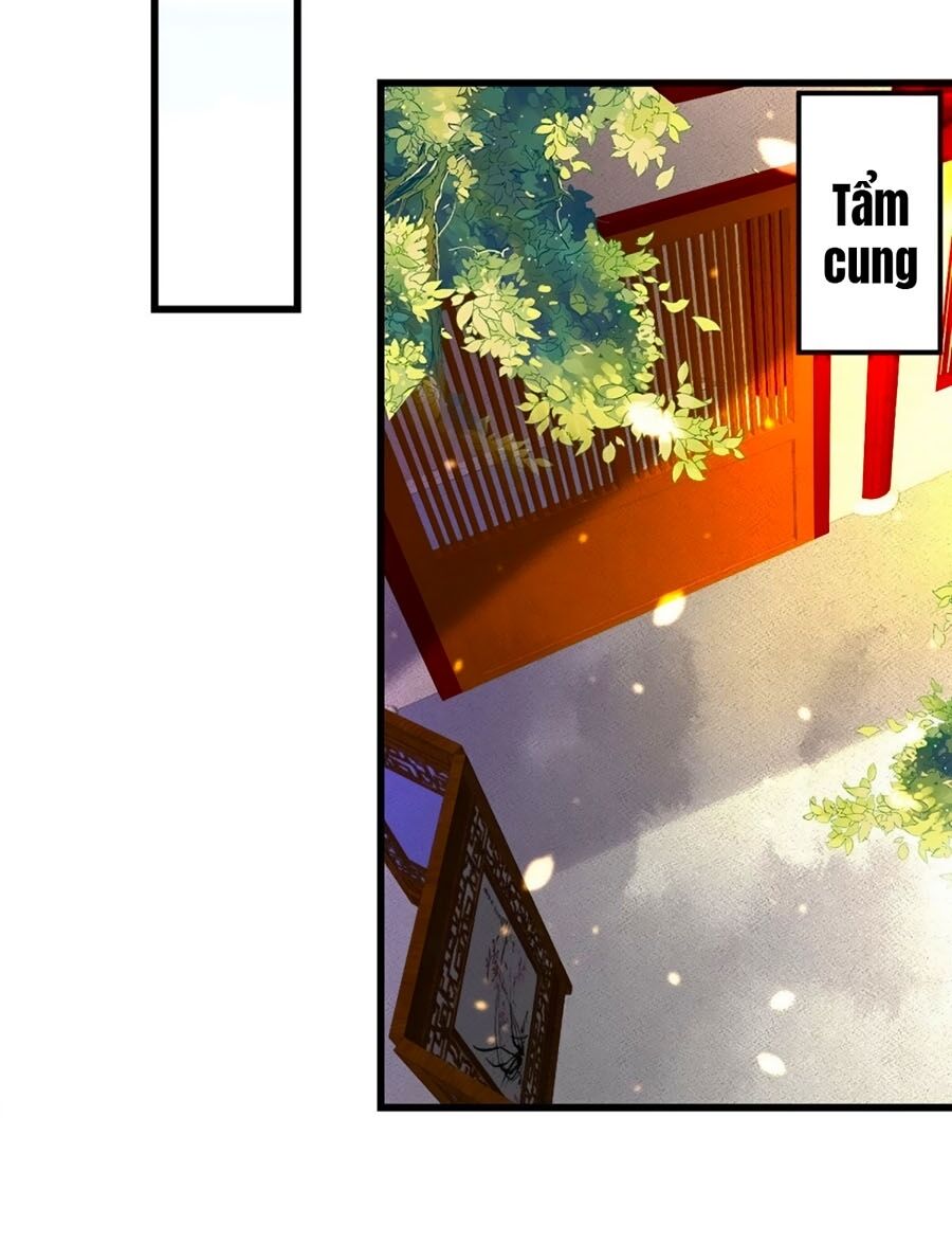 Ta Ở Hậu Cung Làm Lão Đại: Chapter 3
