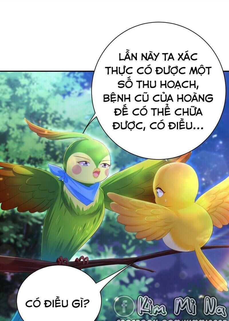 Ta Ở Hậu Cung Làm Lão Đại: Chapter 37