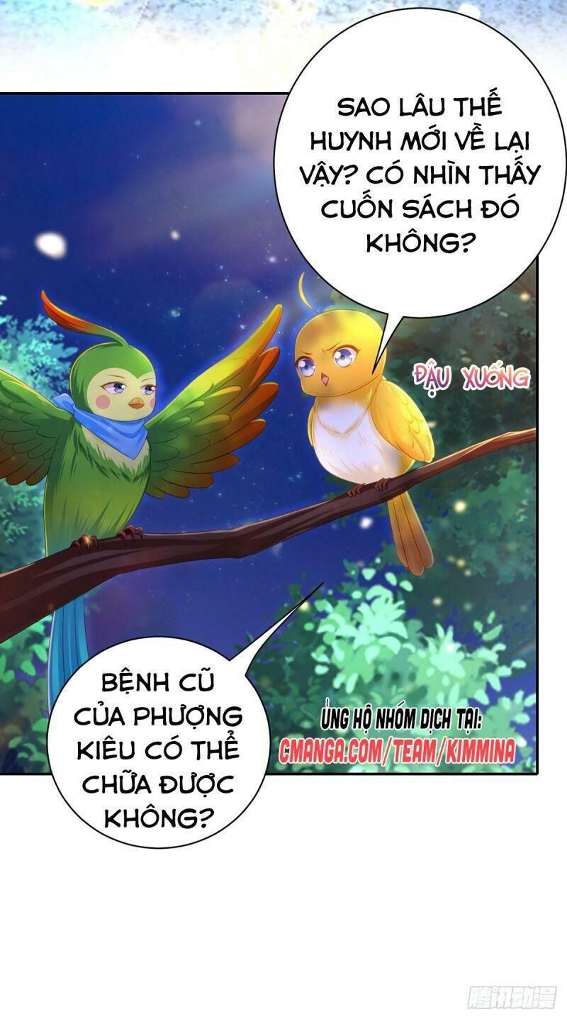 Ta Ở Hậu Cung Làm Lão Đại: Chapter 37