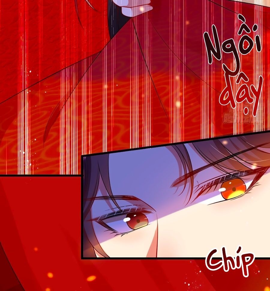 Ta Ở Hậu Cung Làm Lão Đại: Chapter 4