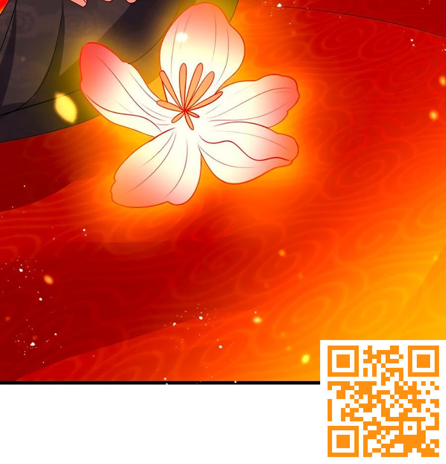 Ta Ở Hậu Cung Làm Lão Đại: Chapter 4