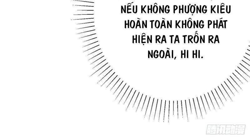 Ta Ở Hậu Cung Làm Lão Đại: Chapter 49