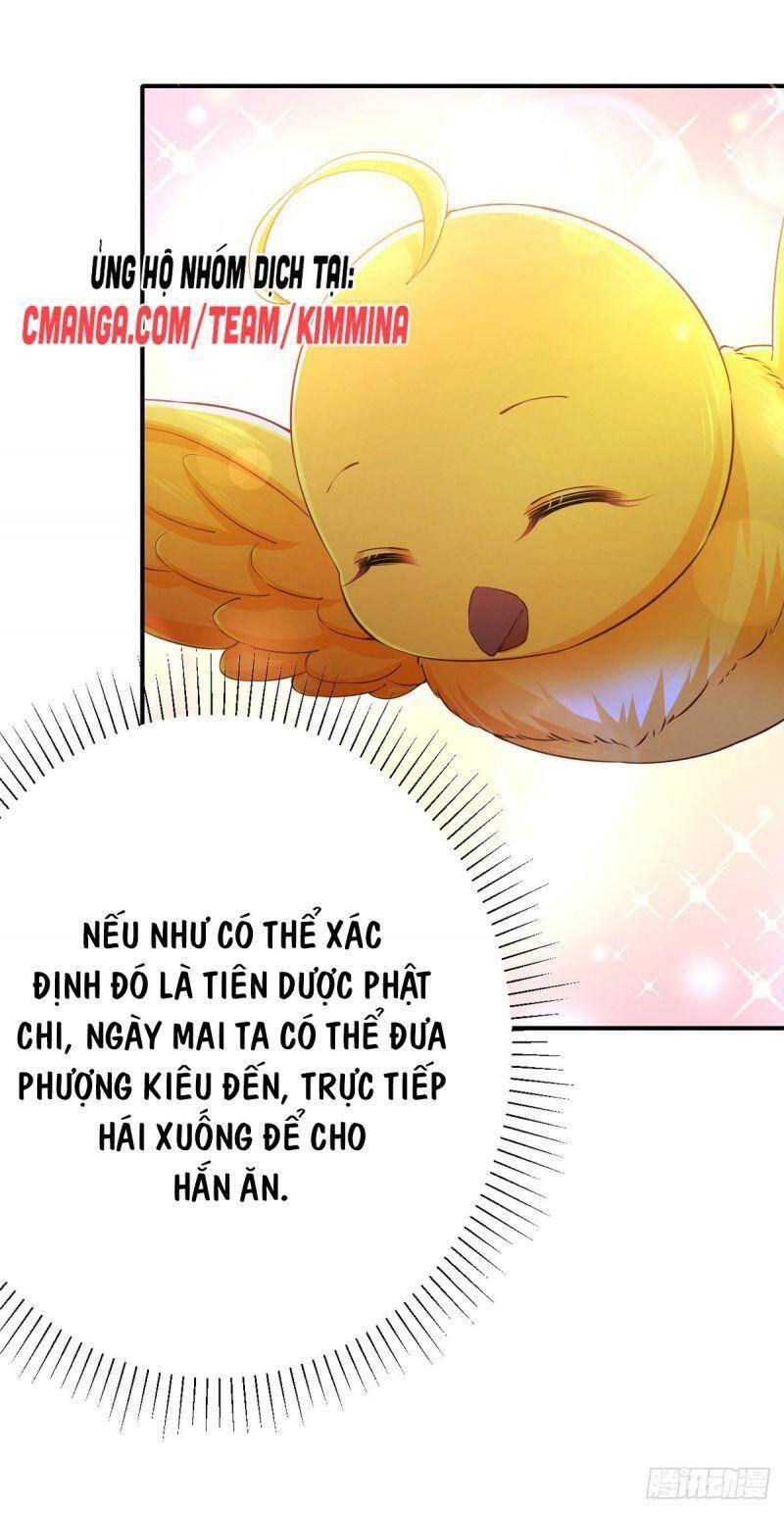 Ta Ở Hậu Cung Làm Lão Đại: Chapter 49