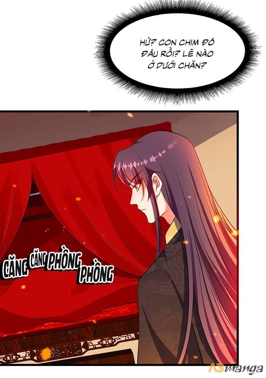Ta Ở Hậu Cung Làm Lão Đại: Chapter 5
