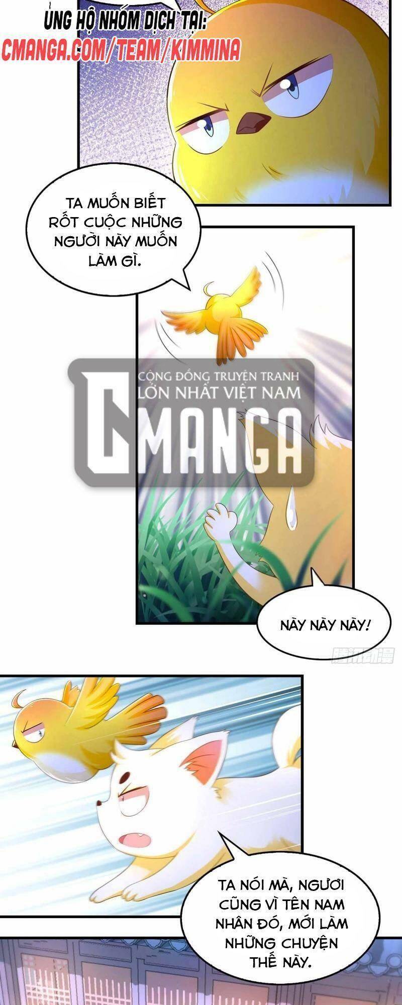 Ta Ở Hậu Cung Làm Lão Đại: Chapter 72