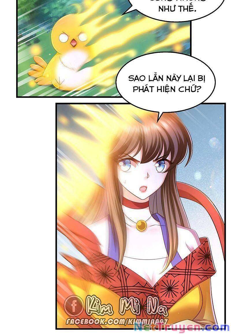 Ta Ở Hậu Cung Làm Lão Đại: Chapter 73