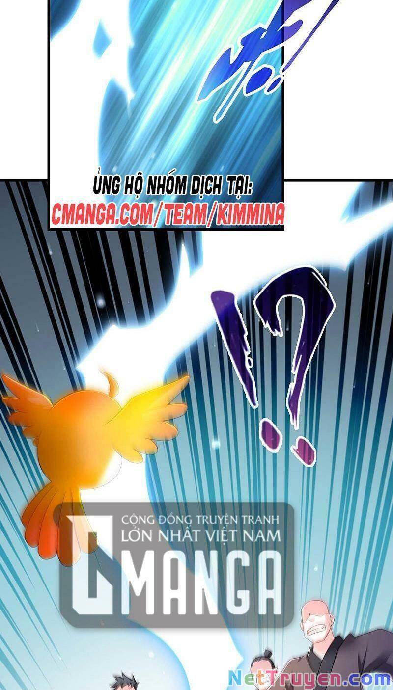 Ta Ở Hậu Cung Làm Lão Đại: Chapter 73