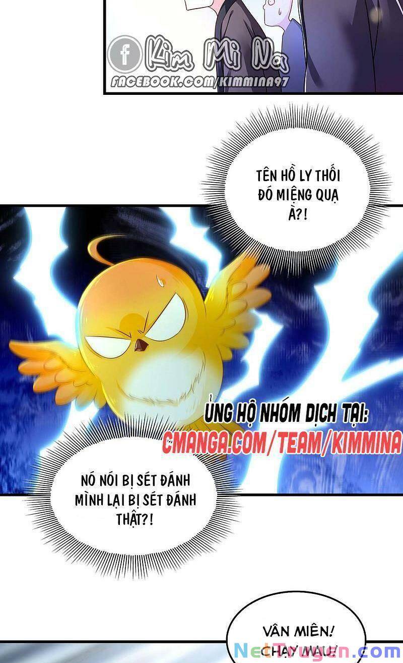 Ta Ở Hậu Cung Làm Lão Đại: Chapter 73