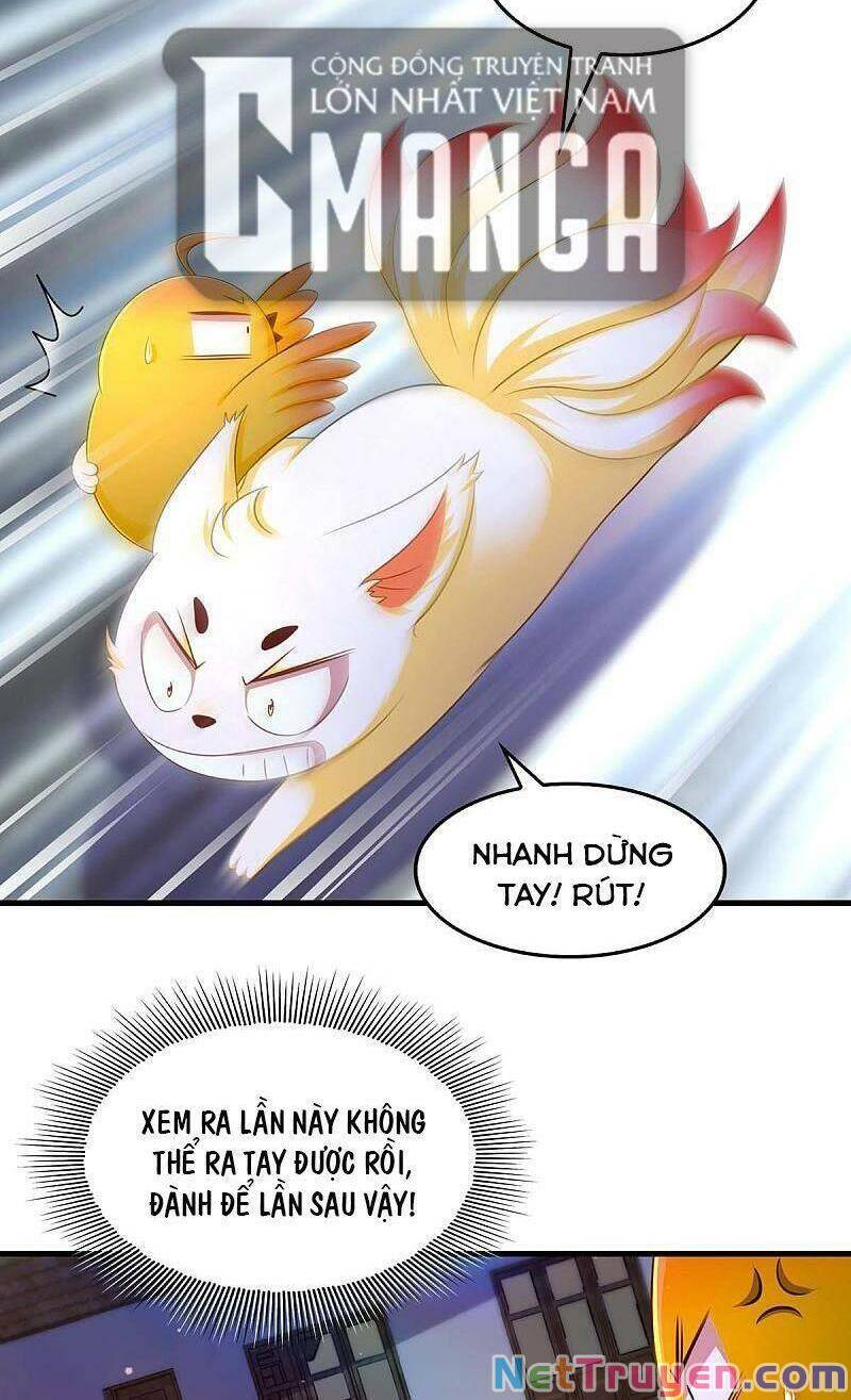 Ta Ở Hậu Cung Làm Lão Đại: Chapter 73