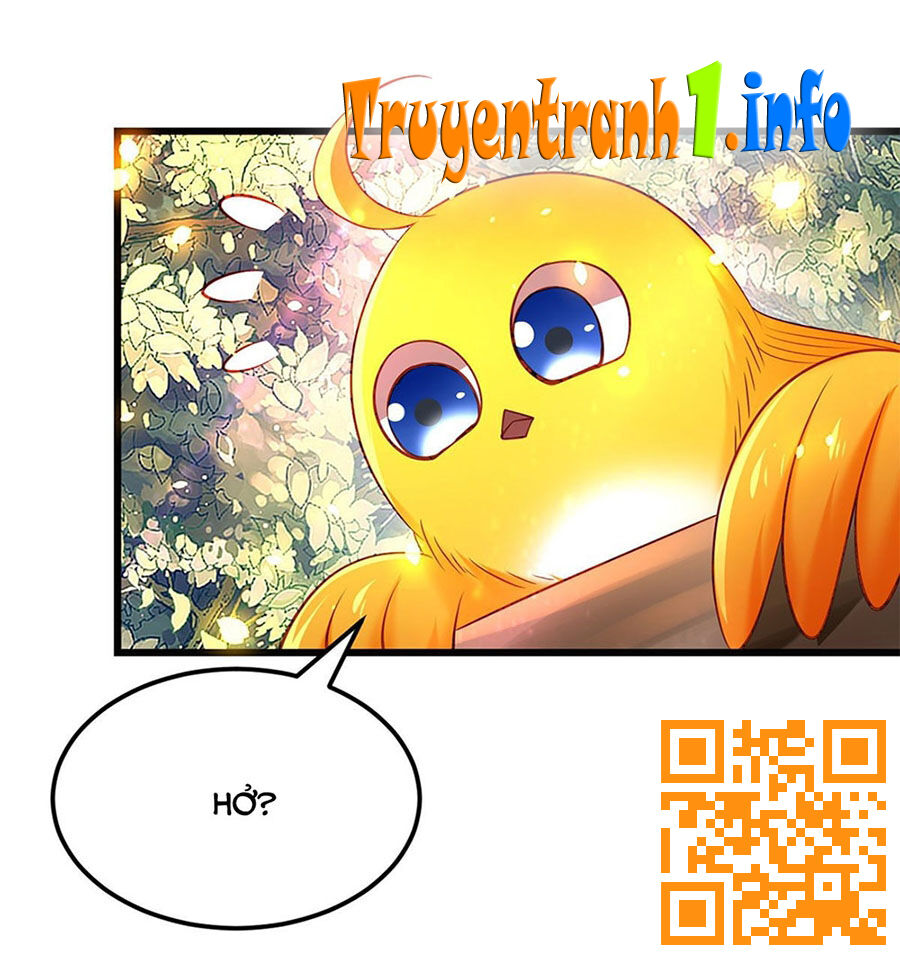 Ta Ở Hậu Cung Làm Lão Đại: Chapter 9