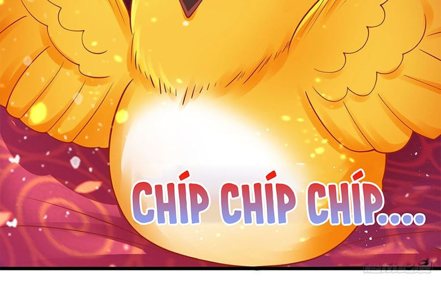 Ta Ở Hậu Cung Làm Lão Đại: Chapter 9