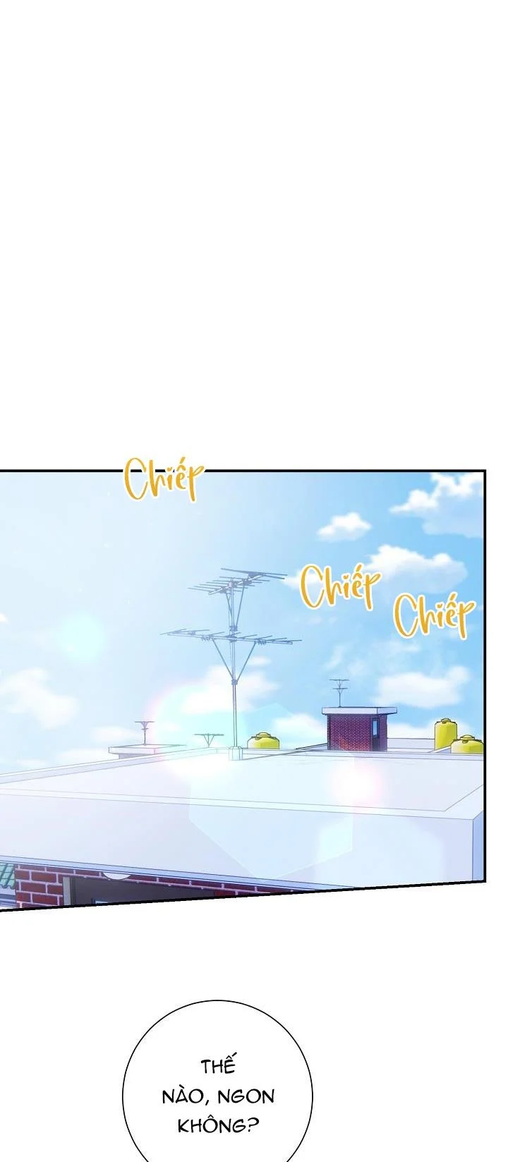 Khu Vực Chủ Nghĩa Tình Yêu: Chapter 5
