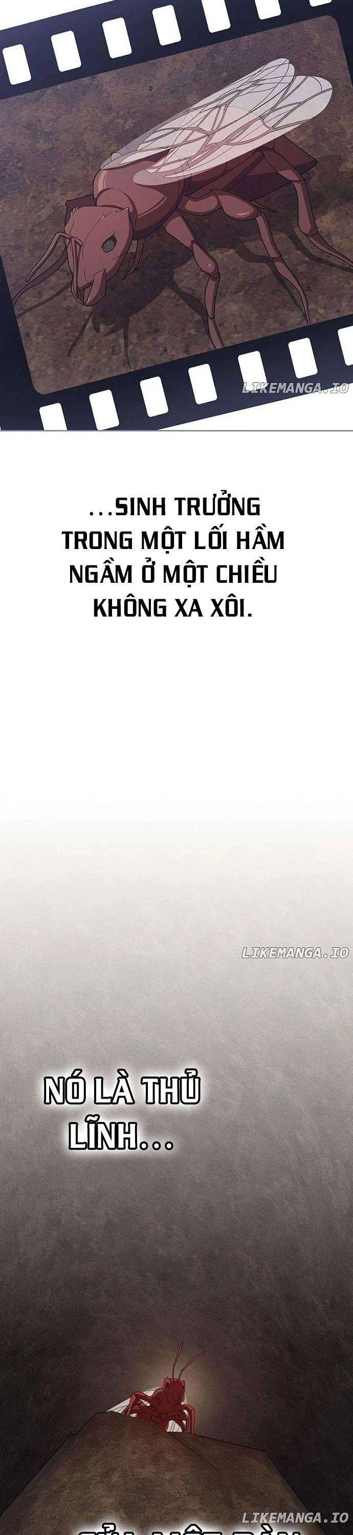 Tôi Là Người Chơi Leo Tháp Một Mình: Chapter 210