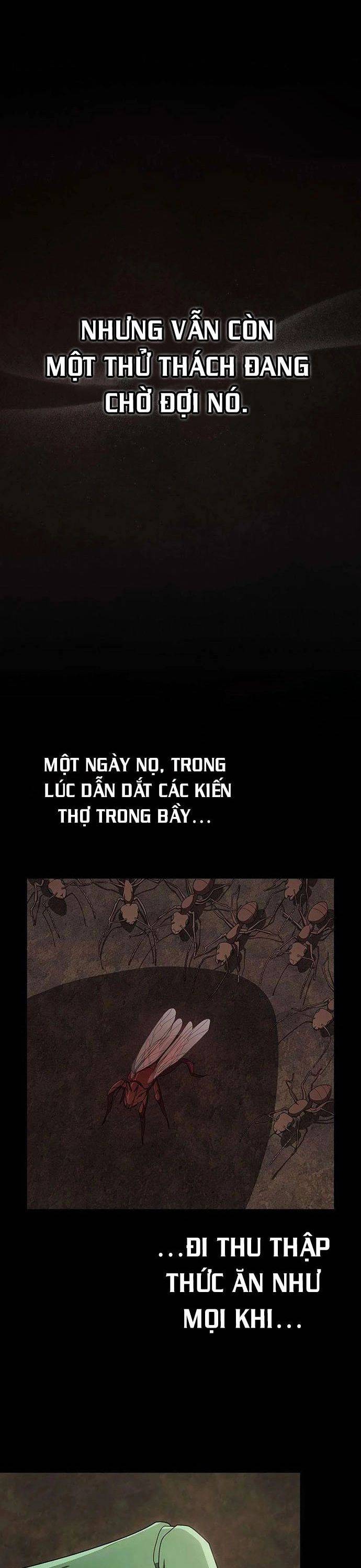 Tôi Là Người Chơi Leo Tháp Một Mình: Chapter 210